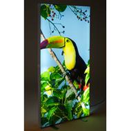Textil-Spannrahmen MaxiFrame LED FOLD
